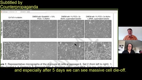Dr. Stefan Lanka's control experiment showing cytopathic effects
