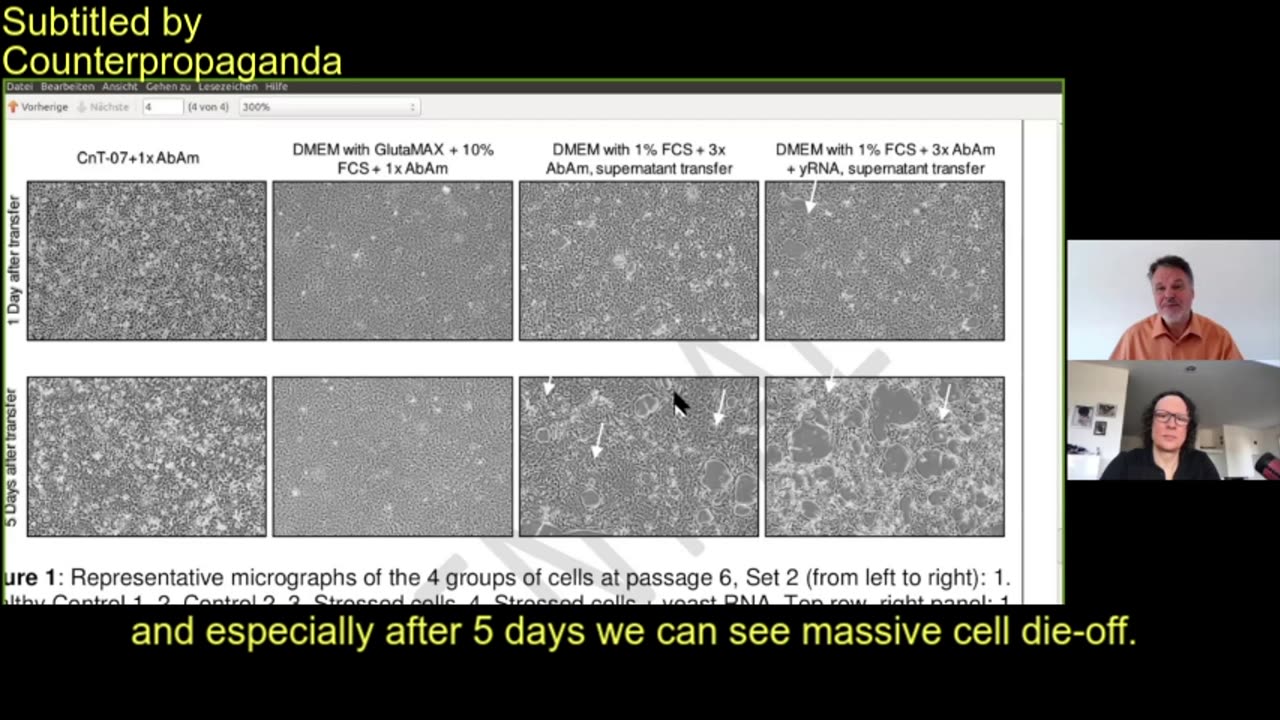 Dr. Stefan Lanka's control experiment showing cytopathic effects