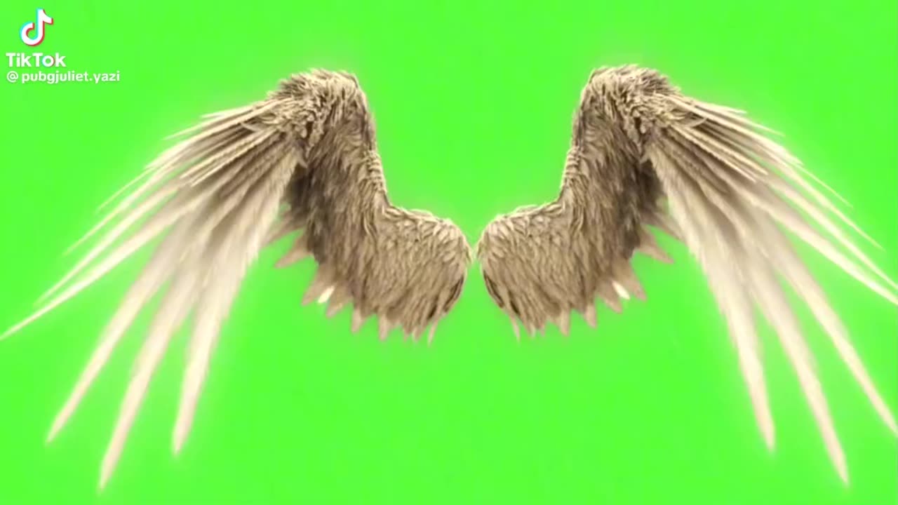 Green screen effect
