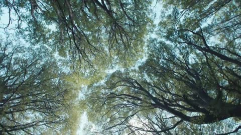 Tourism spot open nature video