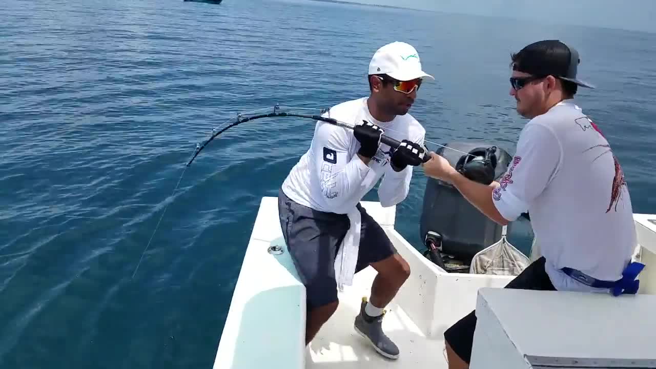 One Of The Ways To Catch Fish From The Sea With Chickens