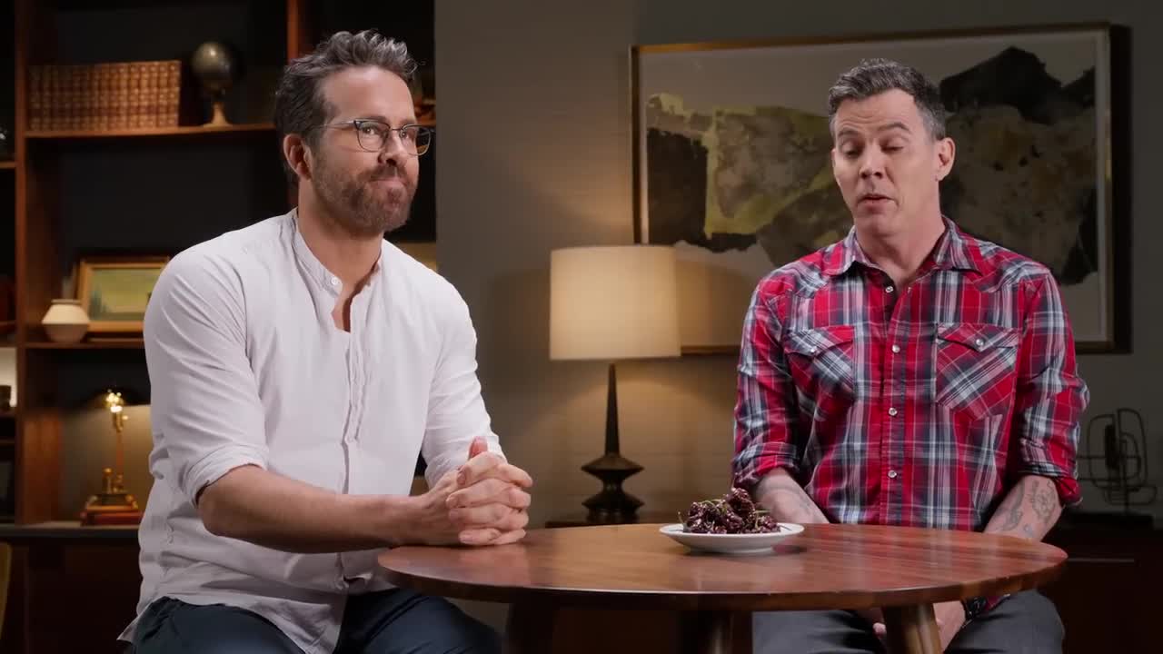 Steve-O Demos MNTN - The Hottest Software in TV [Spicy Cut]