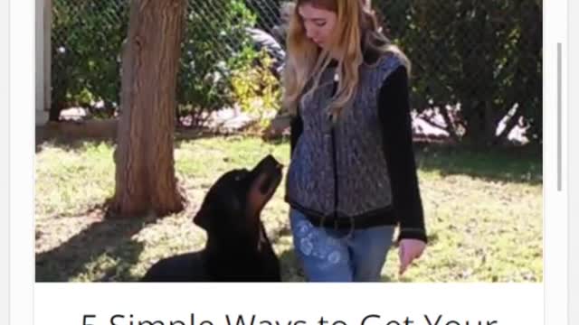 Brain Training for Dogs - Unique Dog Training Course! Easy Sell!