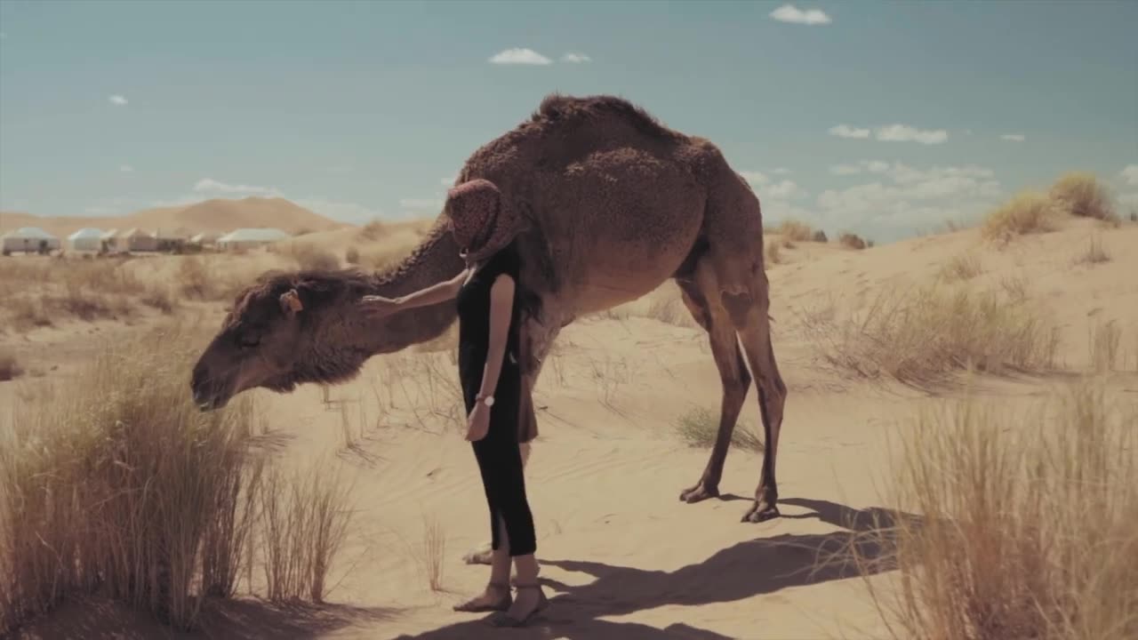 🎬 Taryn Elliott - Woman Camel and Desert 🌌 Human/Animal/Nature