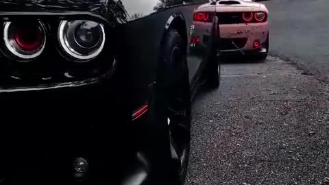 Car attitude video 🔥 black car lover 😵