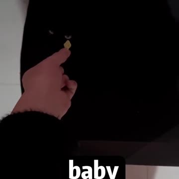 Does the chair have a mouth?