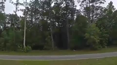 Like a Movie Scene
