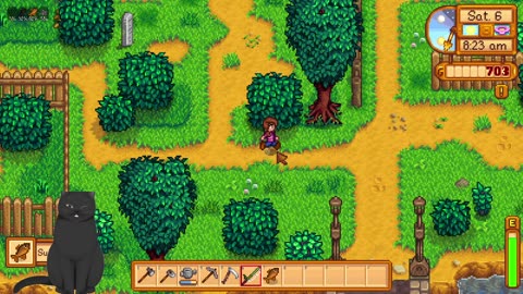 stardew valley