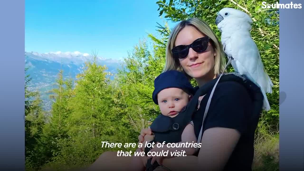 Cockatoo And Baby Boy Do Everything Together - The Dodo Soulmatesp3