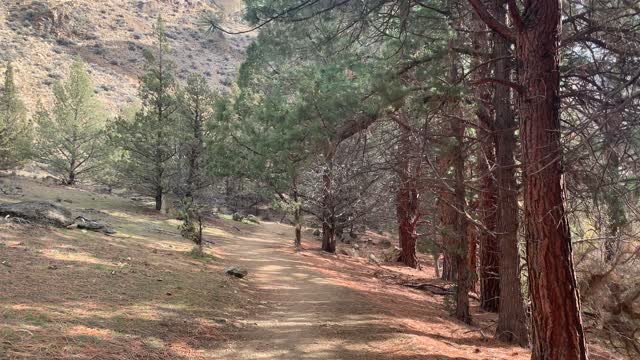 Central Oregon – Smith Rock State Park – Canyon Formations – 4K