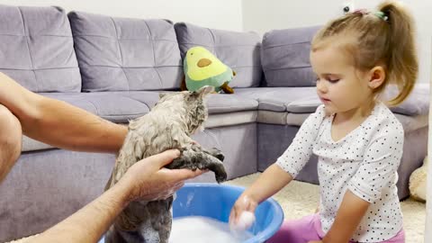 Adorable Baby Girl Bathing Her Cute Cat! (Cutest Ever!!)