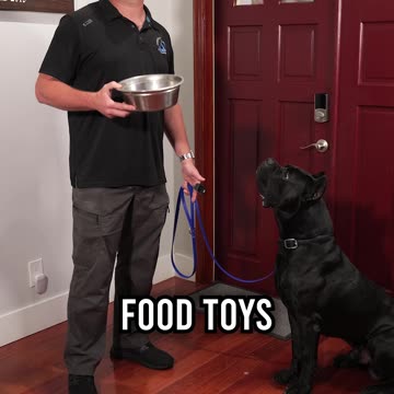 You MUST Master These 3 Things With Your Dog