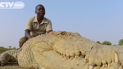 Scientists Terrifying New Discovery In Africa That Changes Everything!
