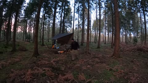 Taking down a tarp in a woodland ..speedlapse. GoPro 22nd 2023