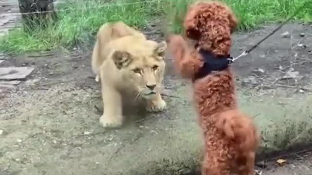 funny