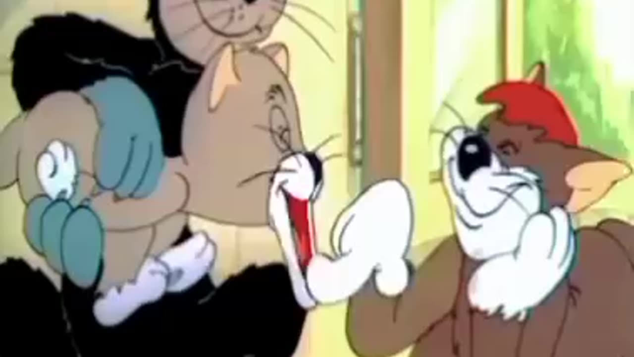 Tom and Jerry Cartoon