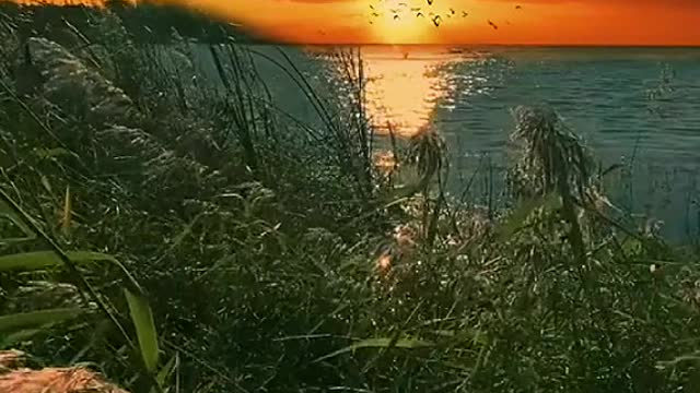 Need this nature