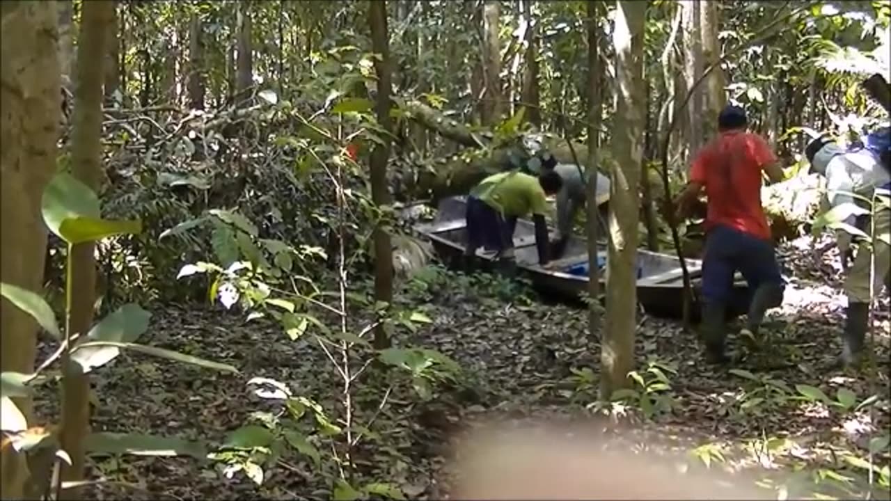 Fly Fishing in Amazon Jungle, Peru