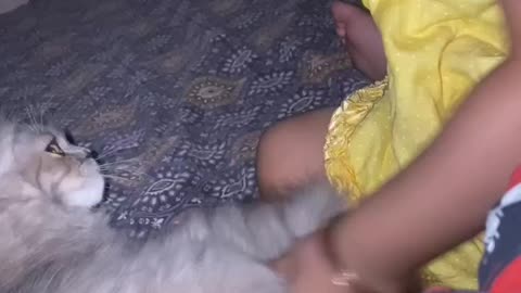 Cute little baby girl with kitty