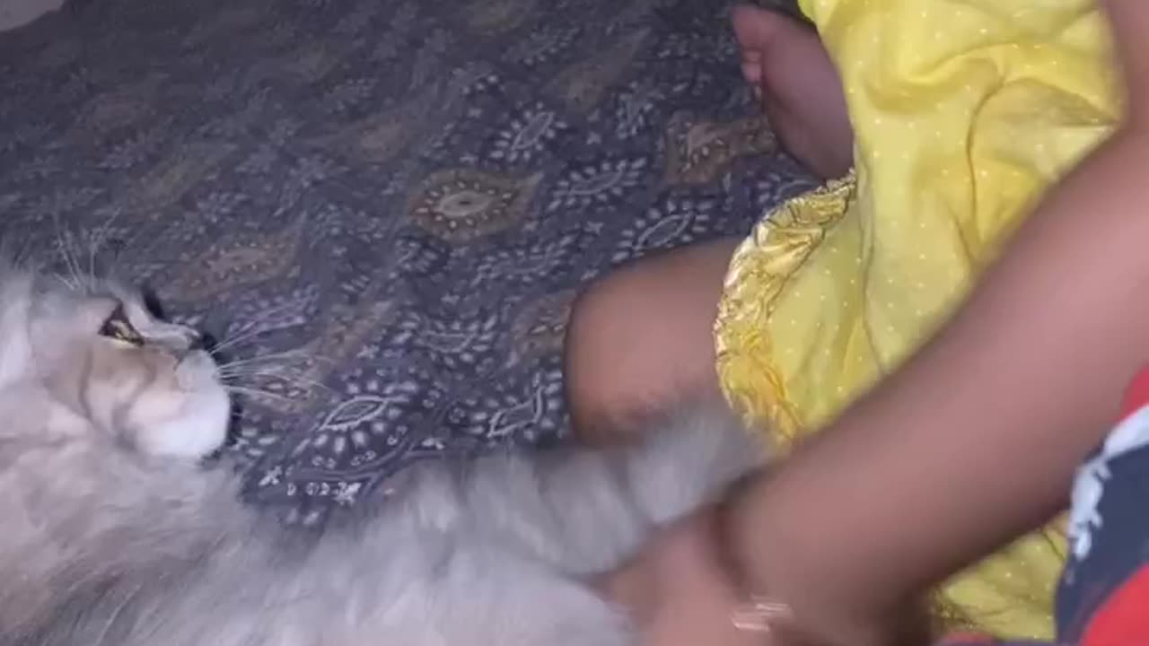 Cute little baby girl with kitty
