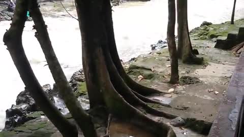 BANTIMURUNG WATERFALL INDONESIA