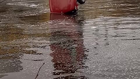 Car on its Nose
