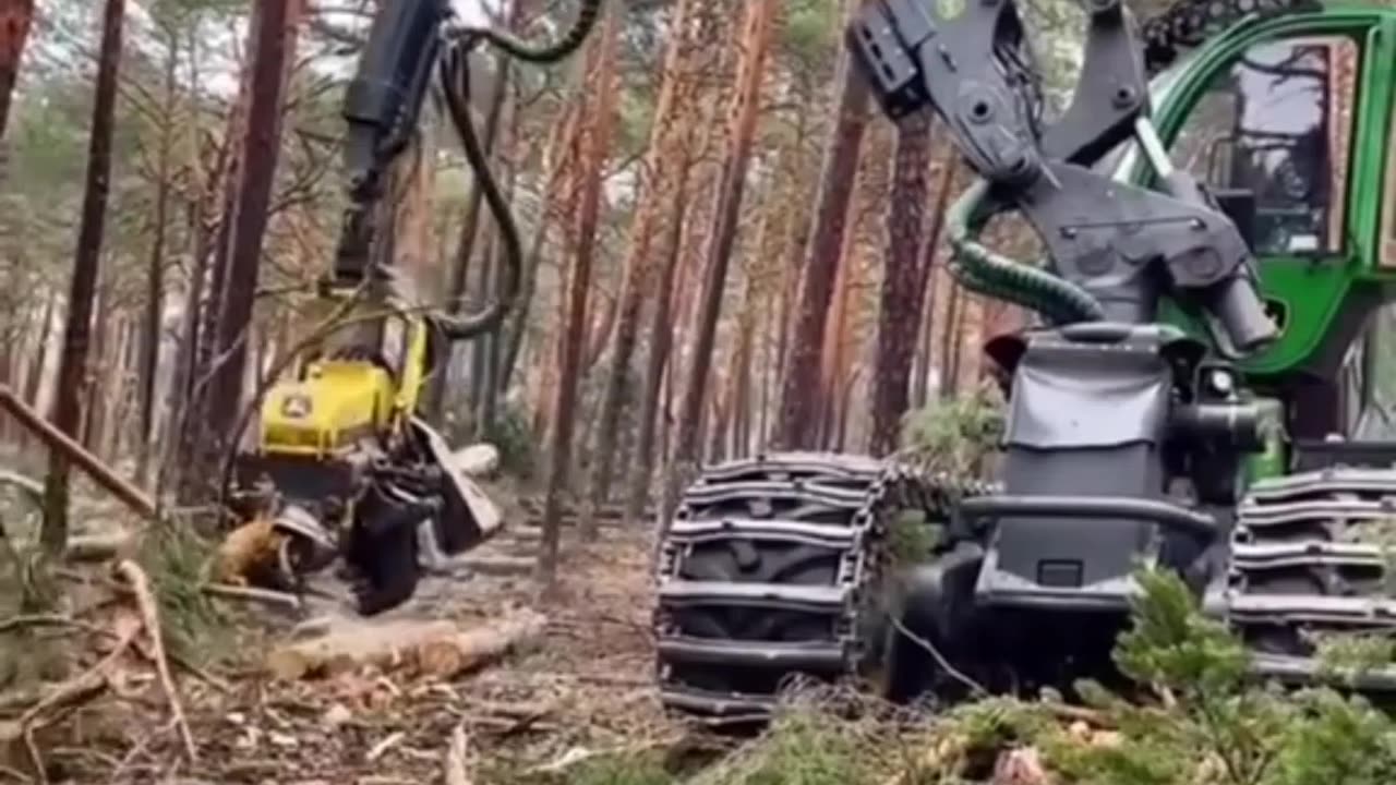 Amazing Machines Cutting Trees And Farming Skills Compilation 😋