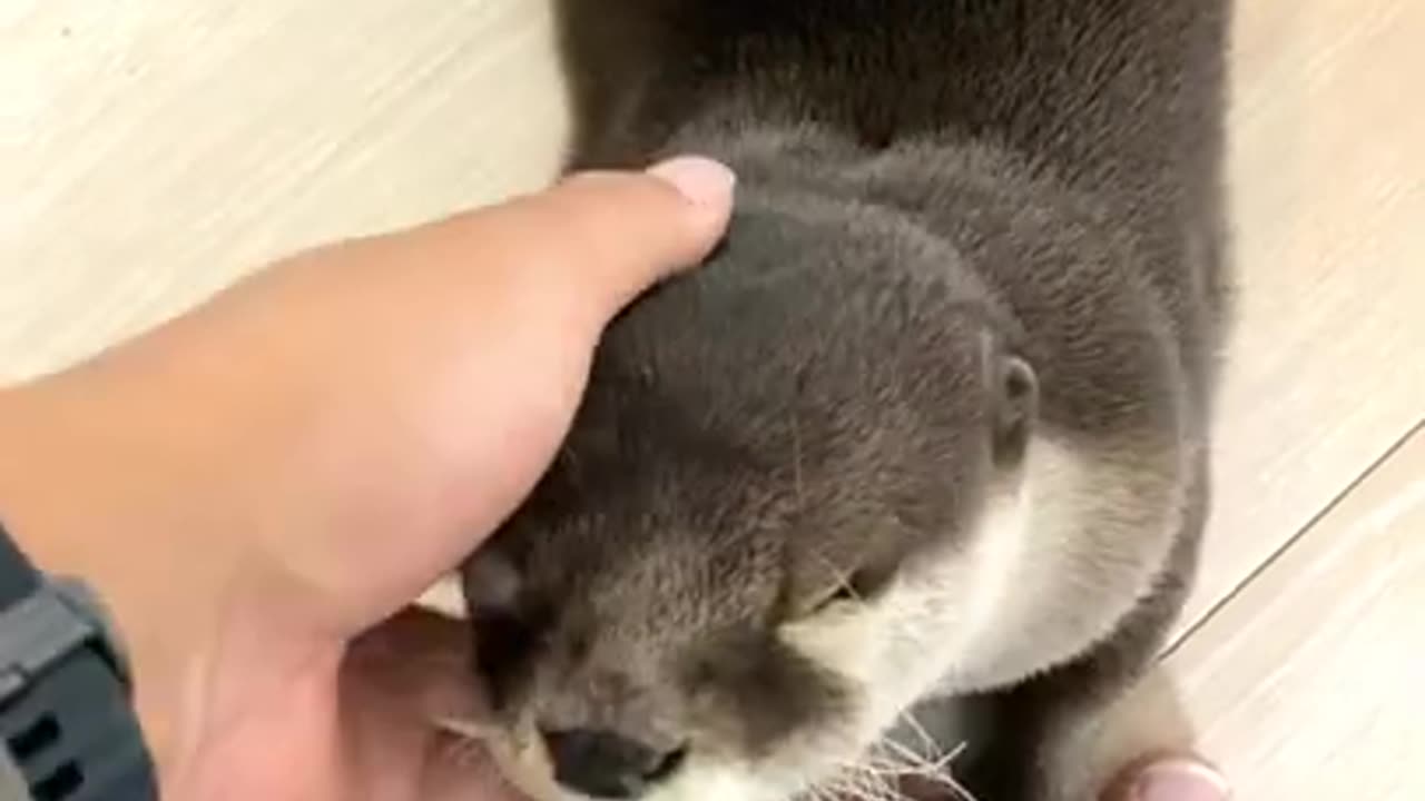 He wants to stick with me even little bit
