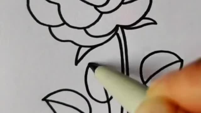 Draw a blooming rose