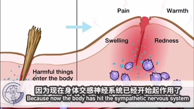 這一部我在2、3個月前就看過的影片，一直存疑。當開始看到身邊有人打加強針後隔日呼吸不上來送急診而柳葉刀也發報導(看下文)，我知道不能再為了怕讓已打針者擔憂而不上傳，請不要打了
