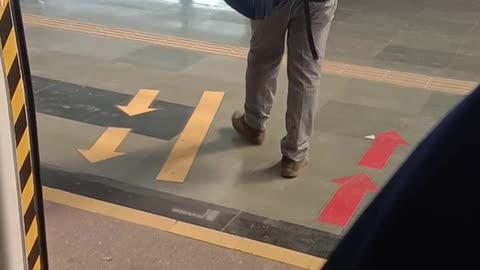Metro door stytem