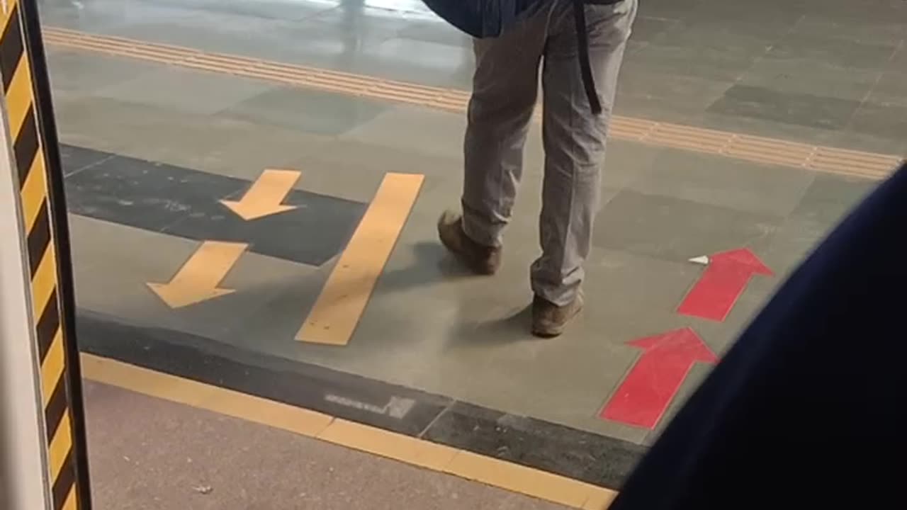 Metro door stytem