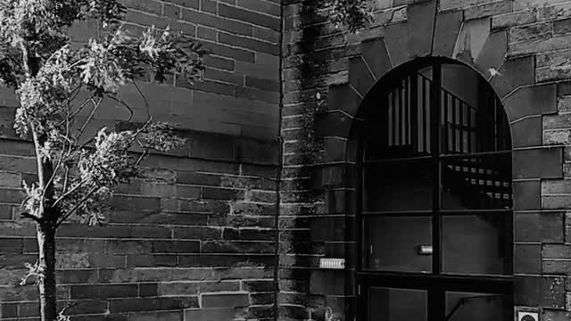 Dark house