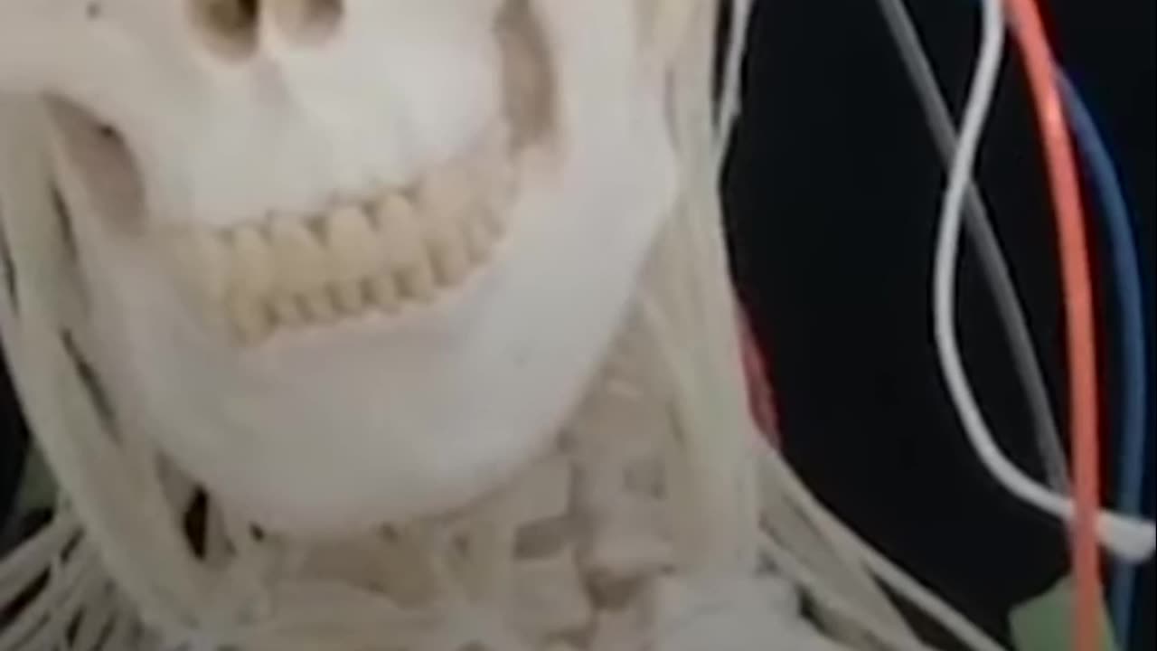 Soft Robots: The Future of Engineering and Climate Adaptability