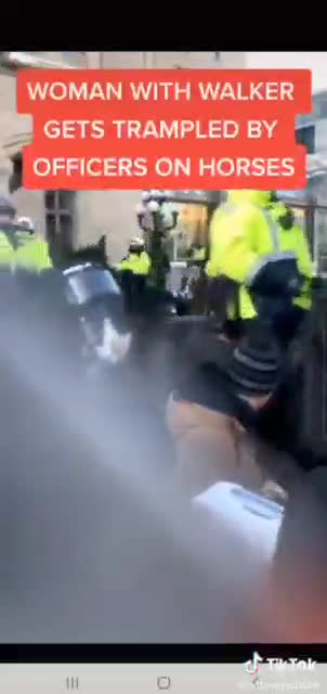 horses Ottawa trample woman