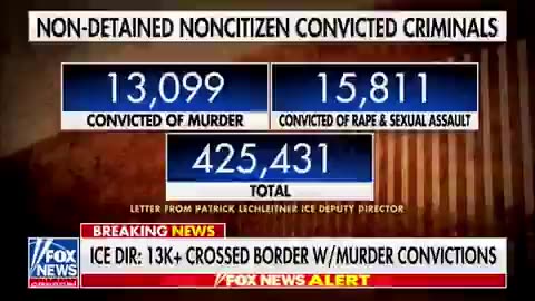 Over 13,000 Murderers Released Into USA - Ice Director