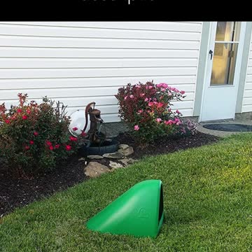 Underground Dog House!