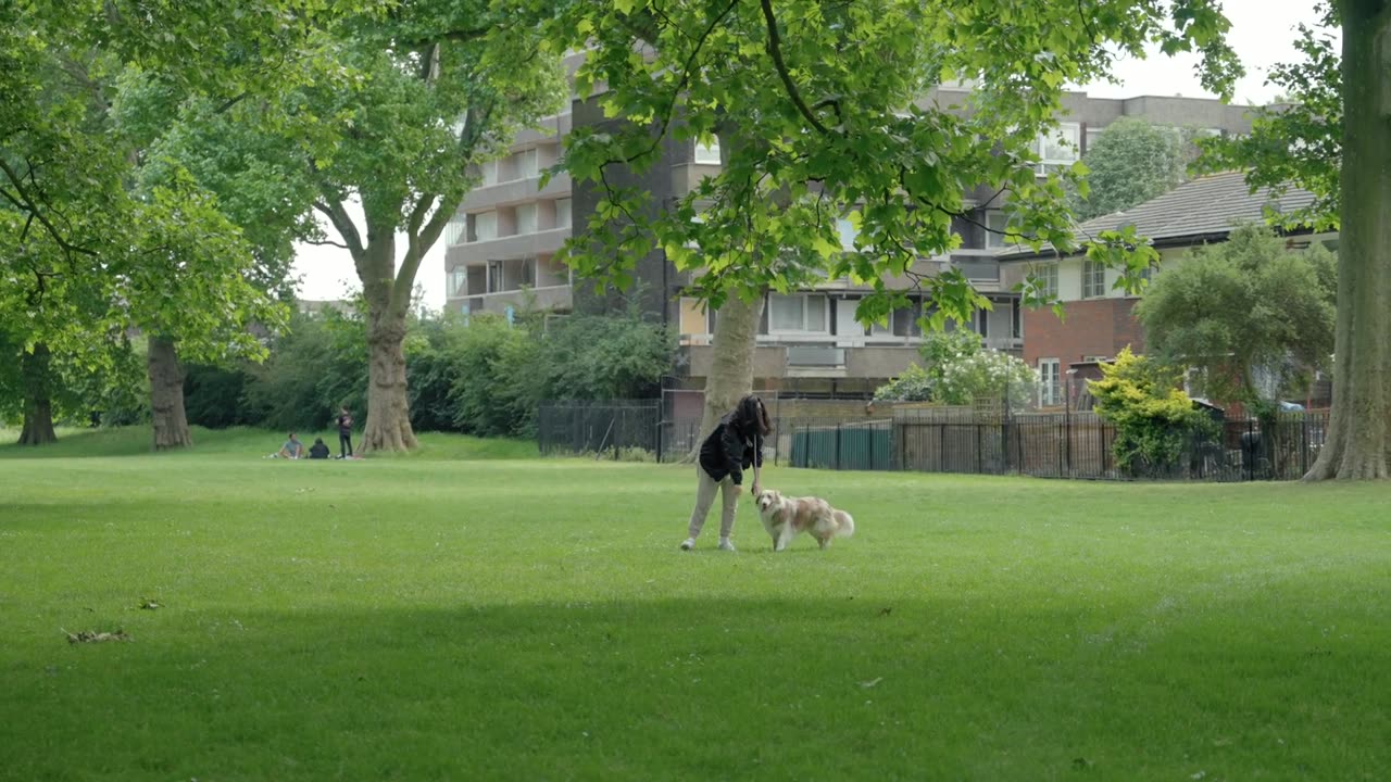 coverr-a-dog-runs-to-his-owner-in-the-park-3398-1080p