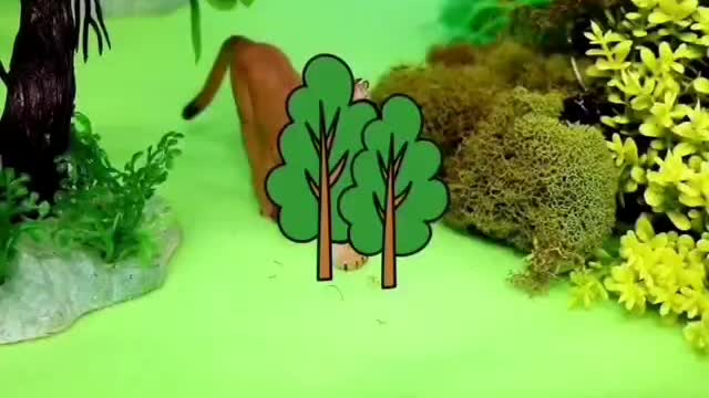 Animal world, animal paradise, happy home