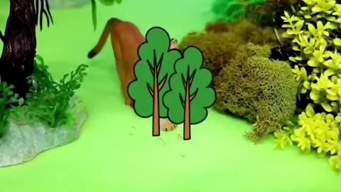 Animal world, animal paradise, happy home