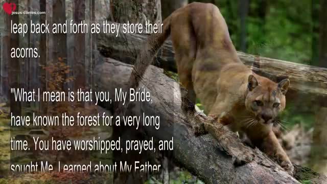 Each of you was created for Me alone ❤️ Love Letter from Jesus Christ