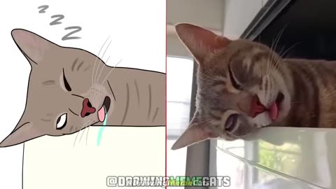 🤣 Drawings of Cat Memes: Funniest Animals 2023😂 Drawing Meme | Funny Cats and Dogs | Cat Memes