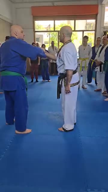 Hapkido