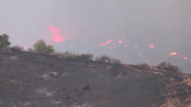 Firefighter dies in Spanish wildfire