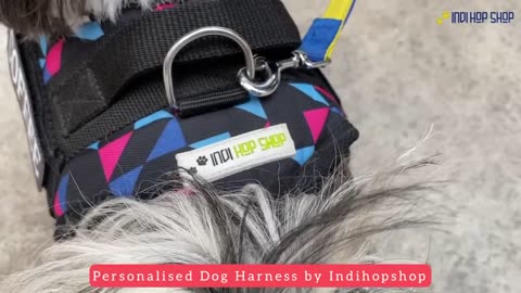 Personalized dog harness/no-pull /adjustable/reflective