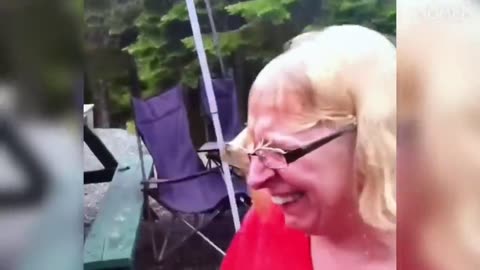 Funny Videos