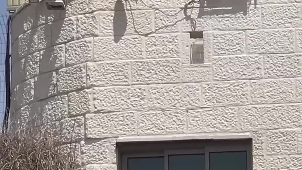 AI RoboCam