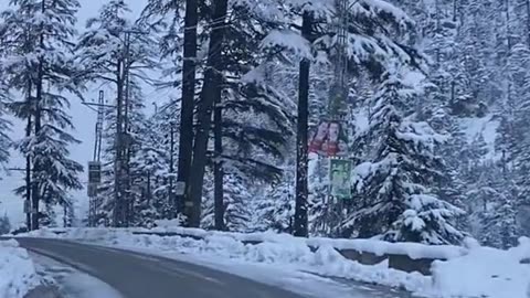Pakistan swat