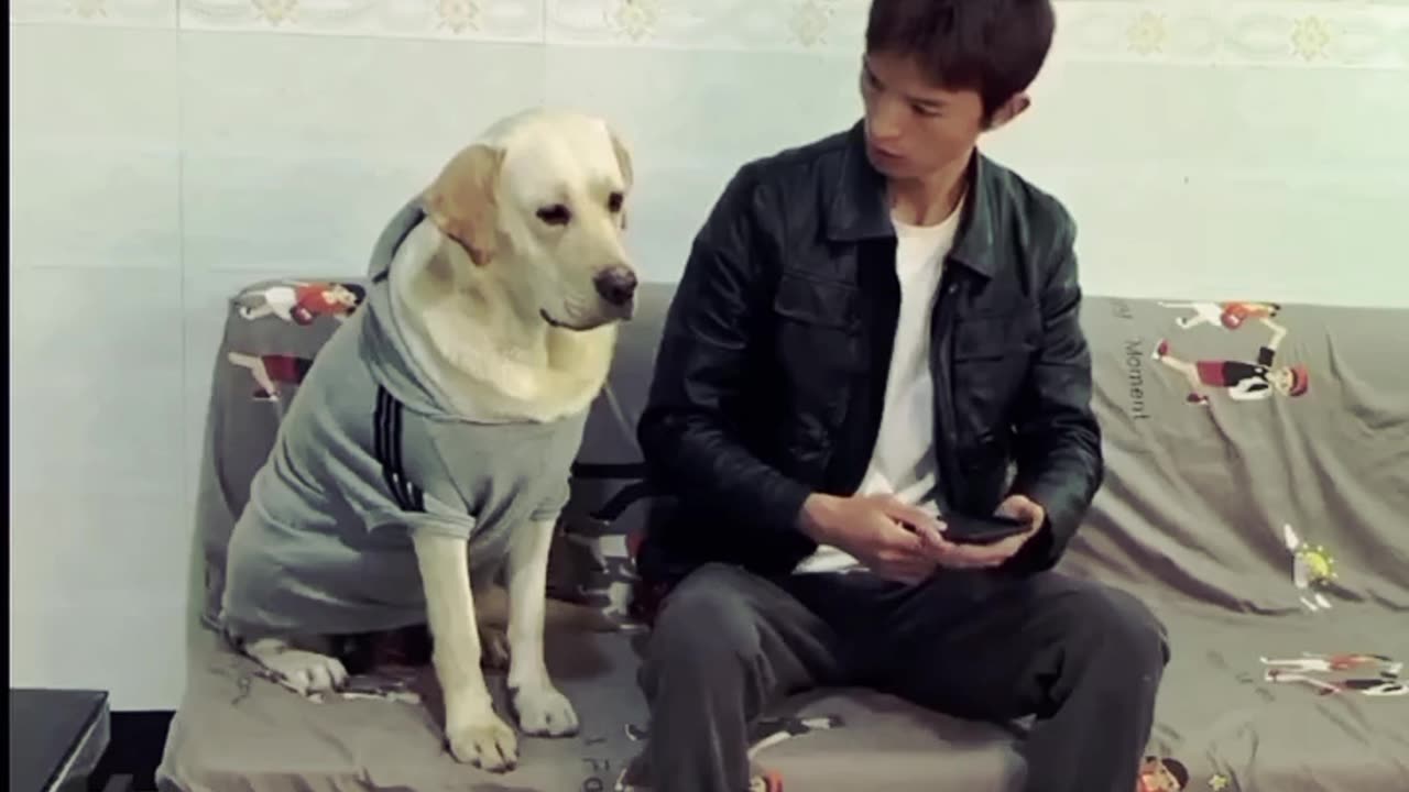 Angry dog with boy