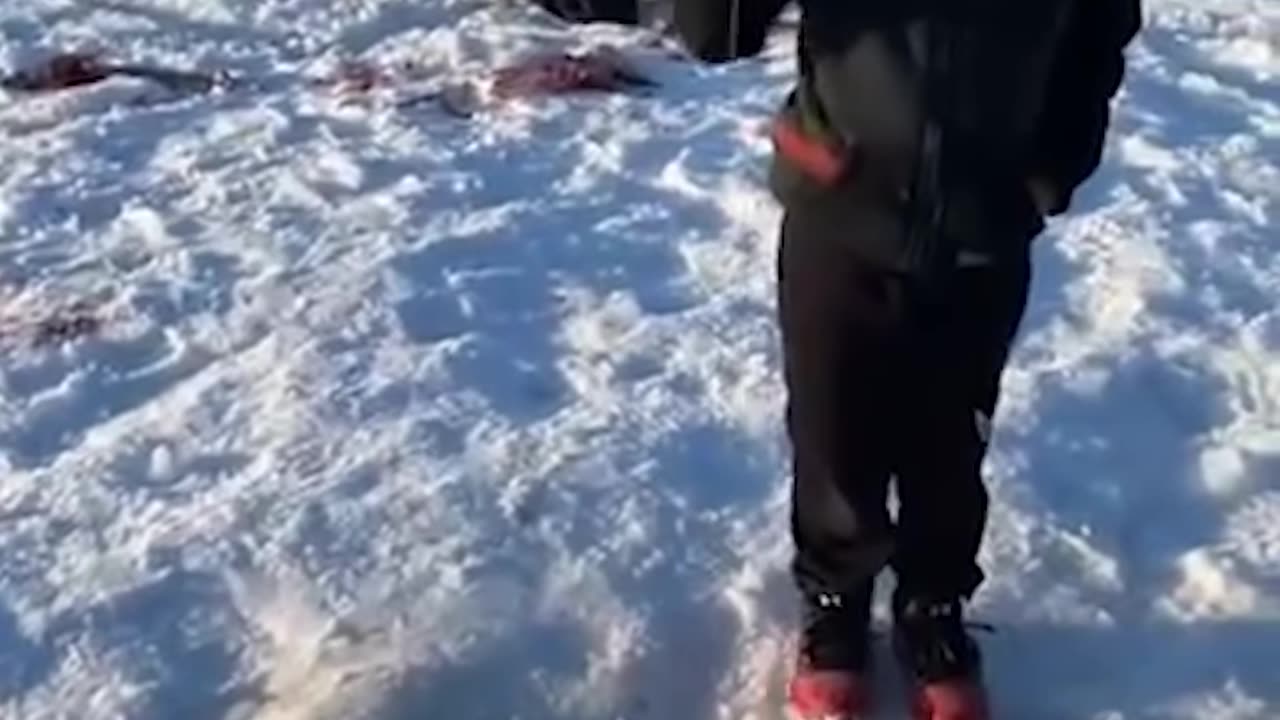 Boy Catches Fish as Big as Himself